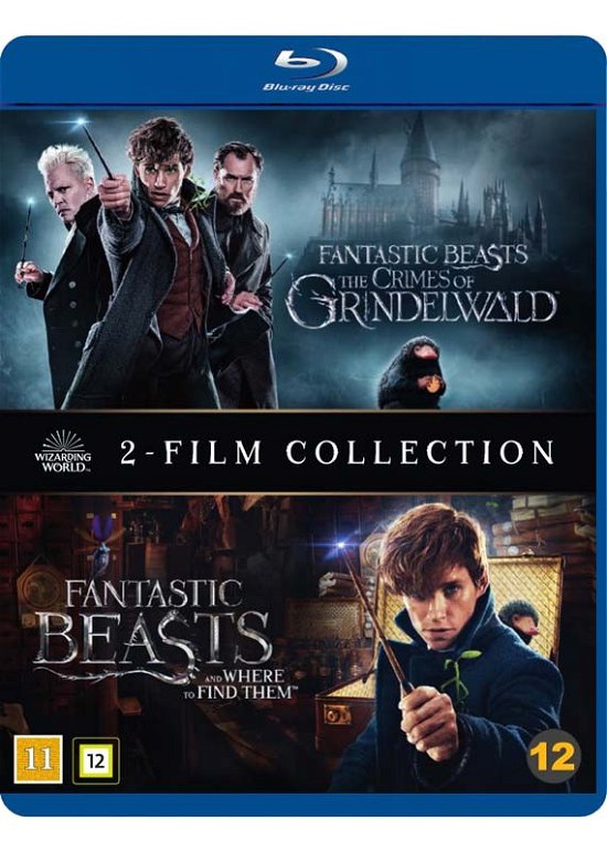 Cover for Wizarding World · Fantastic Beasts 1-2 (Blu-ray) (2019)