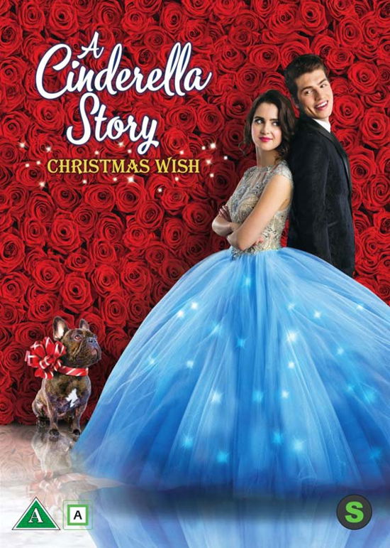 Cover for Cinderella Story · A Cinderella Story a Christmas Wish (DVD) (2019)