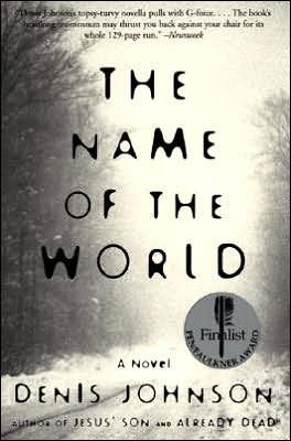 Cover for Denis Johnson · The Name of the World (Pocketbok) [Perennial edition] (2001)