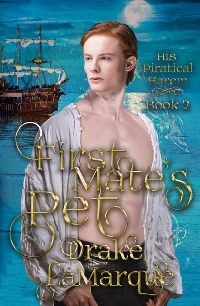 First Mate's Pet - Drake LaMarque - Livros - Grey Kelpie Studio - 9780473495657 - 10 de outubro de 2019