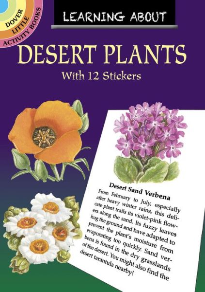 Cover for Dot Barlowe · Learning About Desert Plants - Little Activity Books (Paperback Book) (2021)