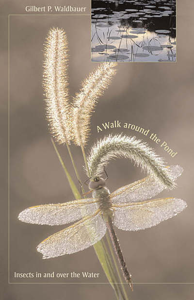 Cover for Gilbert Waldbauer · A Walk around the Pond: Insects in and over the Water (Paperback Book) (2008)