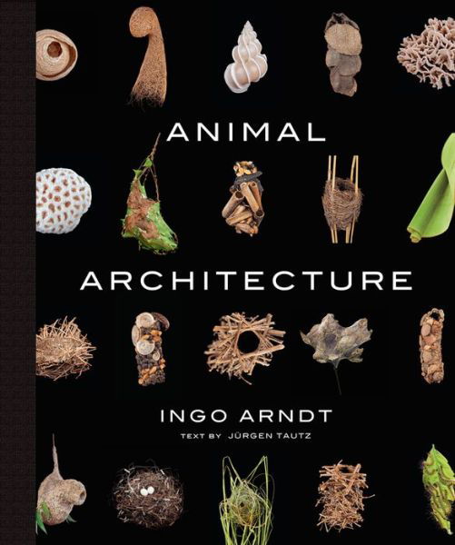 Animal Architecture - Ingo Arndt - Livros - Abrams - 9781419711657 - 22 de abril de 2014