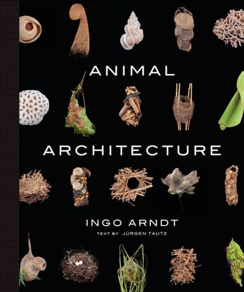 Cover for Ingo Arndt · Animal Architecture (Hardcover Book) (2014)