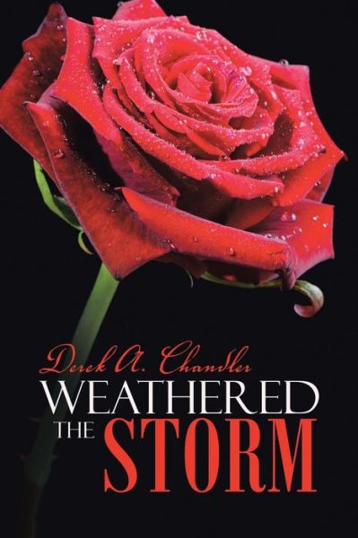 Cover for Derek a Chandler · Weathered the Storm (Paperback Book) (2014)