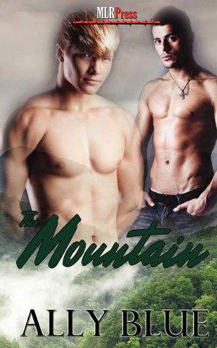 Cover for Ally Blue · The Mountain (Pocketbok) (2012)