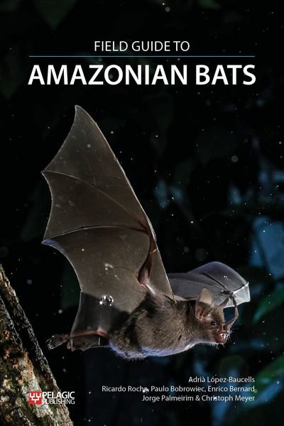 Cover for Adria Lopez-Baucells · Field Guide to the Bats of the Amazon - Bat Biology and Conservation (Paperback Book) (2018)
