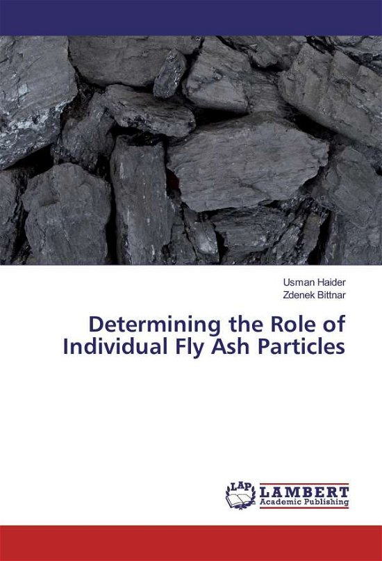 Cover for Haider · Determining the Role of Individu (Book)