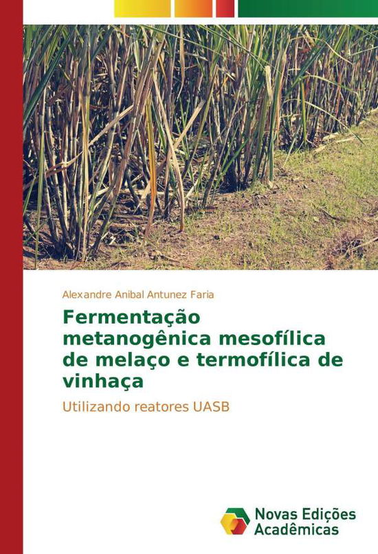 Cover for Faria · Fermentação metanogênica mesofíli (Book)