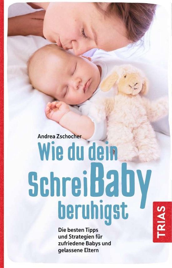 Cover for Zschocher · Wie du dein Schreibaby beruhi (Bok)