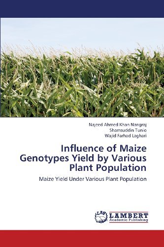 Cover for Wajid Farhad Laghari · Influence of Maize Genotypes Yield by Various Plant Population: Maize Yield Under Various Plant Population (Pocketbok) (2013)