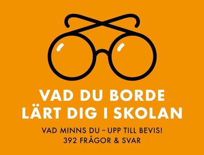 Cover for Anna Maria Erling · Vad du borde lärt dig i skolan (Book) (2021)