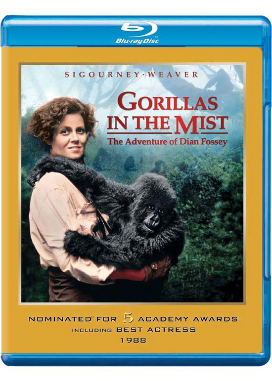 Cover for Gorillas in the Mist (Blu-ray) (2014)