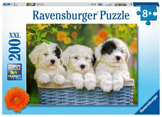 Cover for Ravensburger · Puzzel schattige puppies: 200 stukjes (127658) (Leksaker) (2019)