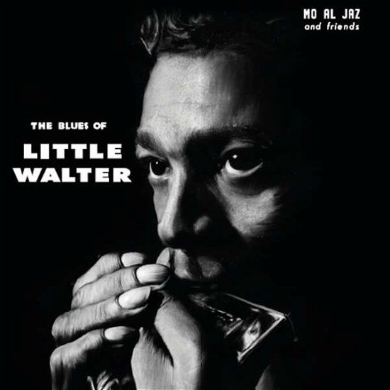 Cover for Mo Al Jaz &amp; Friends · Blues Of Little Walte (CD) (2017)