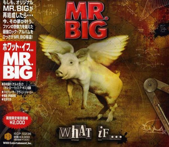 What if - Mr Big - Muziek - Ais - 4582213914658 - 21 december 2010