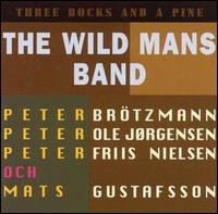 Cover for Wild Mans Band · Three Rocks and a Pi (CD) (2005)