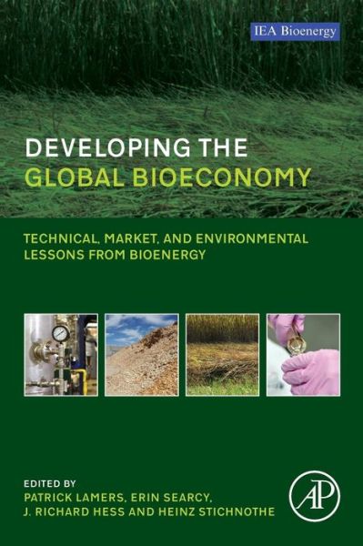 Cover for Patrick Lamers · Developing the Global Bioeconomy: Technical, Market, and Environmental Lessons from Bioenergy (Taschenbuch) (2016)