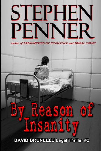 Cover for Stephen Penner · By Reason of Insanity: David Brunelle Legal Thriller #3 (Paperback Book) (2013)