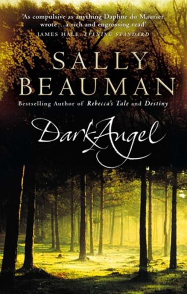 Cover for Sally Beauman · Dark Angel (Paperback Book) (2003)