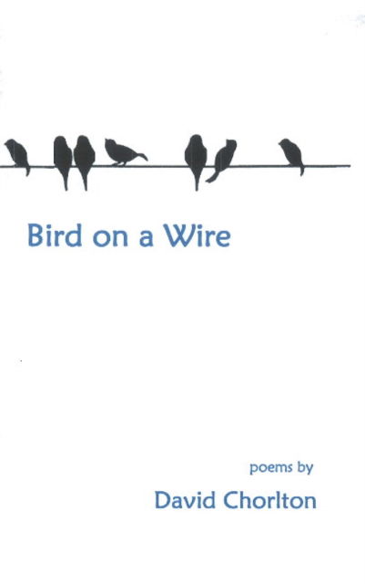 Cover for David Chorlton · Bird on a Wire (Paperback Book) (2017)