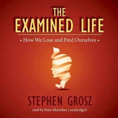 Cover for Stephen Grosz · The Examined Life (CD) (2013)