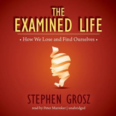 The Examined Life - Stephen Grosz - Muzyka - Blackstone Publishing - 9781482927658 - 28 maja 2013