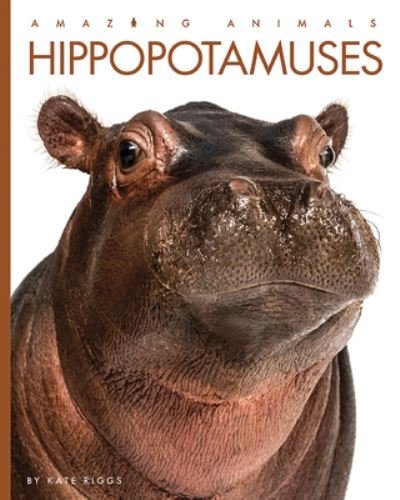 Cover for Kate Riggs · Hippopotamuses (Paperback Book) (2022)