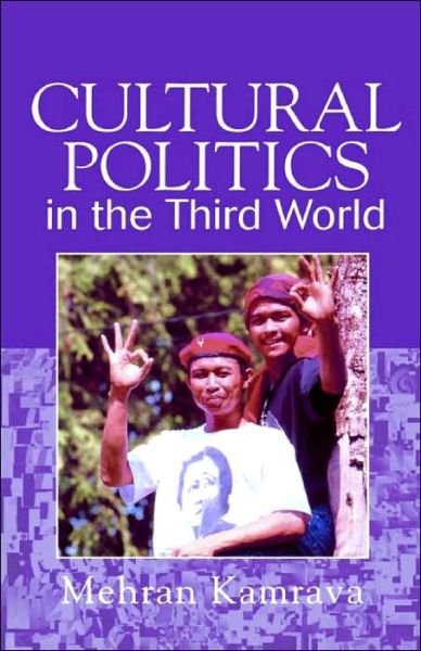 Cover for Mehran Kamrava · Cultural Politics in the Third World (Paperback Book) (1999)
