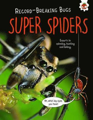 Cover for Matt Turner · Super Spiders - Record-Breaking Bugs (Paperback Book) (2017)