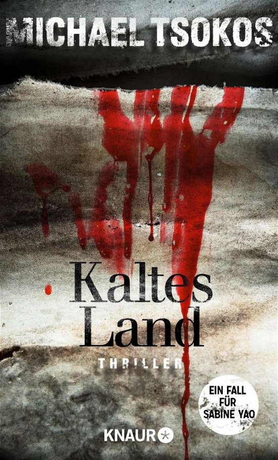 Cover for Tsokos · Kaltes Land (Book)