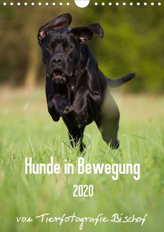 Cover for Bischof · Hunde in Bewegung 2020 von Tier (Book)