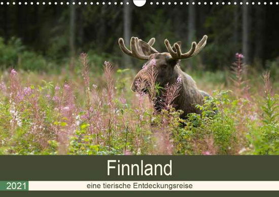 Cover for Wünsch · Finnland: eine tierische Entdeck (Book)