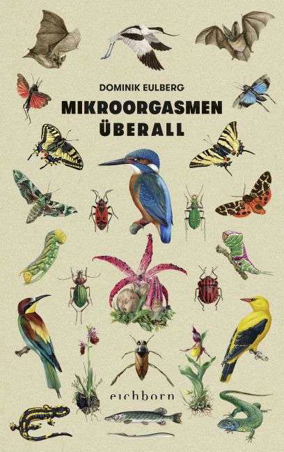 Cover for Eulberg · Mikroorgasmen überall (Bog)