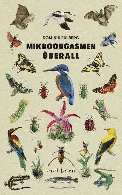 Cover for Eulberg · Mikroorgasmen überall (Book)