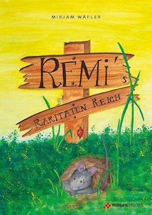 Cover for Mirjam Wäfler · Remi's Raritäten-Reich (Book) (2021)