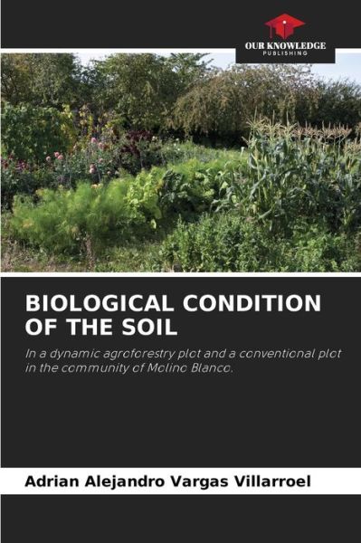 Cover for Adrian Alejandro Vargas Villarroel · Biological Condition of the Soil (Paperback Book) (2022)