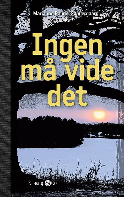 Cover for Marianne Randel Søndergaard · Hip: Ingen må vide det (Gebundenes Buch) [1. Ausgabe] (2018)