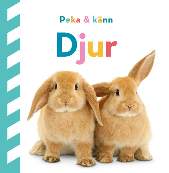 Peka och känn : Djur - Dawn Sirett - Boeken - Lind & Co - 9789180531658 - 6 mei 2024