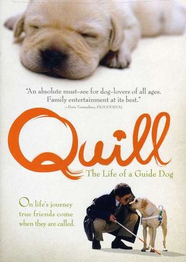 Quill - Quill - Movies - Music Box Films - 0736211215659 - July 10, 2012