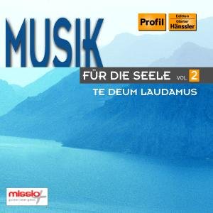 Cover for Various Artists · MUSIK FÜR DIE SEELE VOL.2 *d* (CD) (2007)