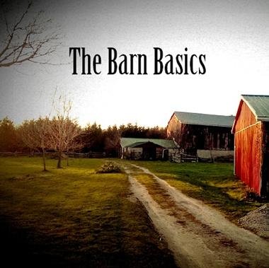 Cover for Ad Vanderveen · Barn Basics (CD) (2016)