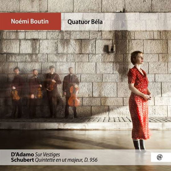 D'adamo & Schubert - Noemi Boutin - Muziek - NOMAD - 3700750941659 - 11 oktober 2019