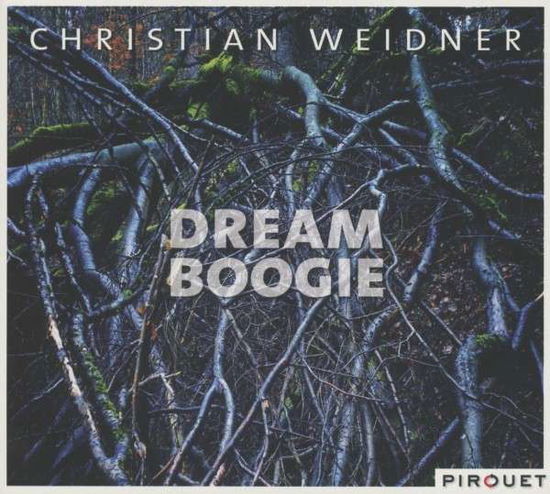 Dream Boogie - Christian Weidner - Music - PIROUET RECORDS - 4260041180659 - January 22, 2013