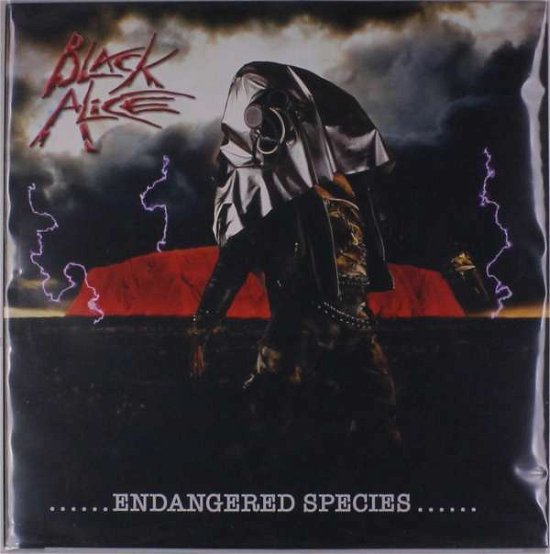 Cover for Black Alice · Endangered Species / Sons of Steel (LP) (2019)