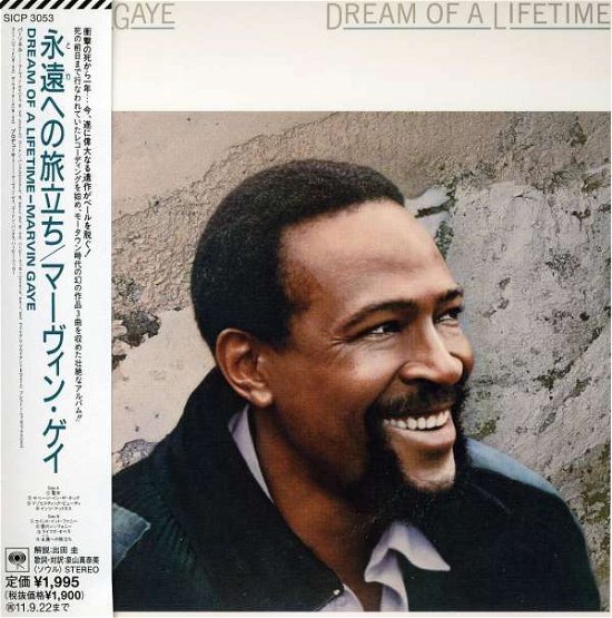 Dream of Lifetime - Marvin Gaye - Music - SONY MUSIC - 4547366058659 - March 23, 2011