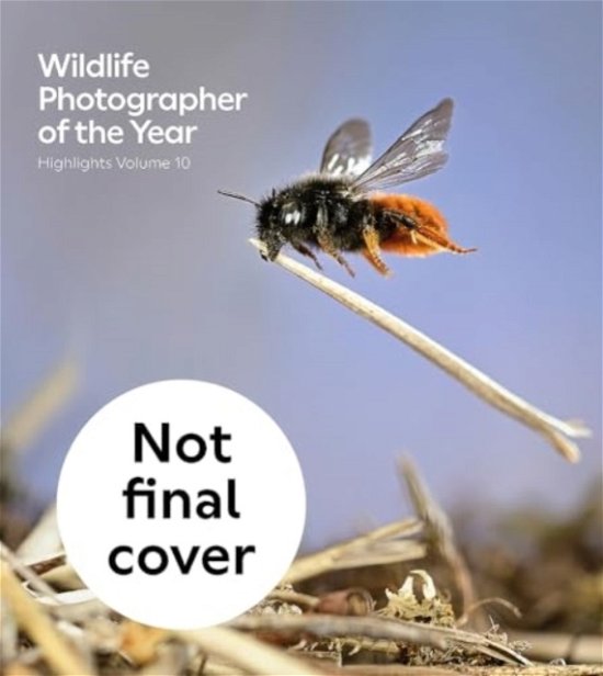 Cover for Natural History Museum · Wildlife Photographer of the Year: Highlights Volume 10 (Paperback Bog) (2024)
