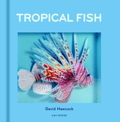 Cover for David Hawcock · Tropical Fish (Hardcover Book) (2017)