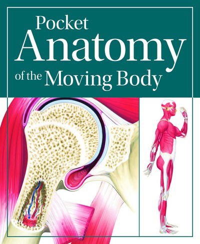 Pocket Anatomy of the Moving Body - John Brewer - Livros - Rotovision - 9780857624659 - 1 de novembro de 2016