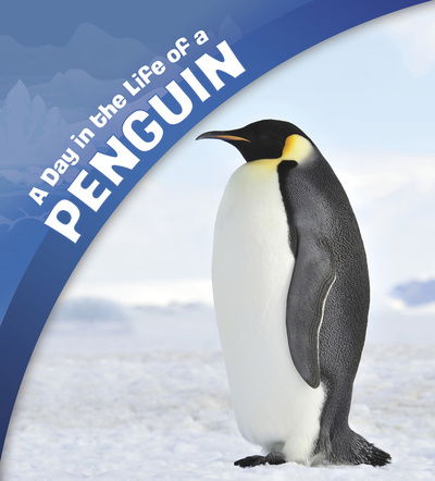 Cover for Sharon Katz Cooper · A Day in the Life of a Penguin - A Day in the Life (Paperback Book) (2020)